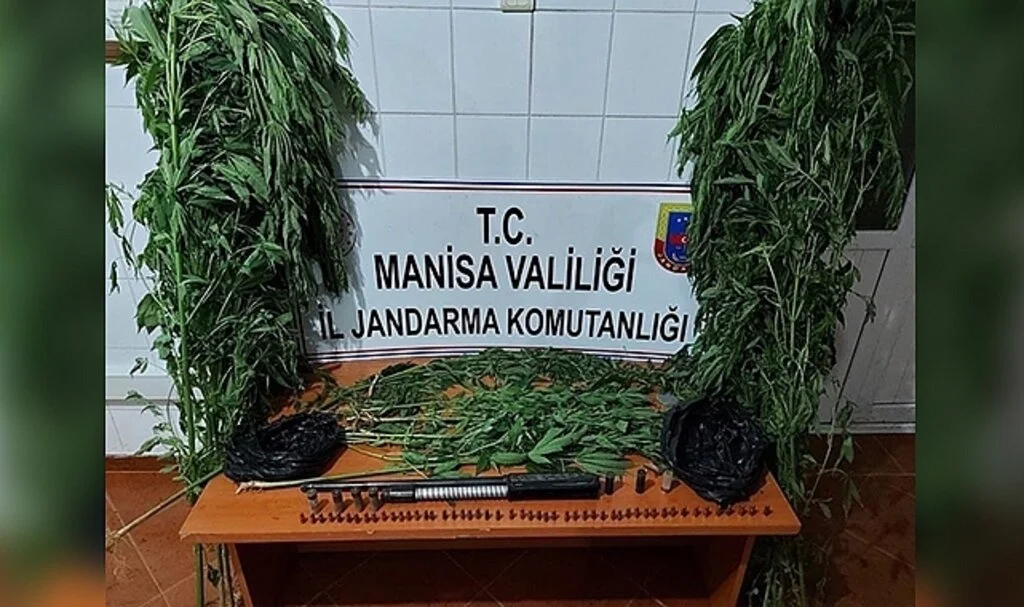 Demirci ve Yunusemre'de uyuşturucu operasyonu