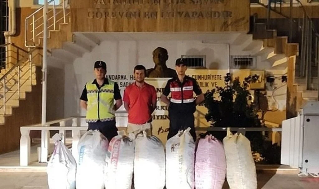Demre'de 7 çuval keçiboynuzu çalan şüpheliler yakalandı
