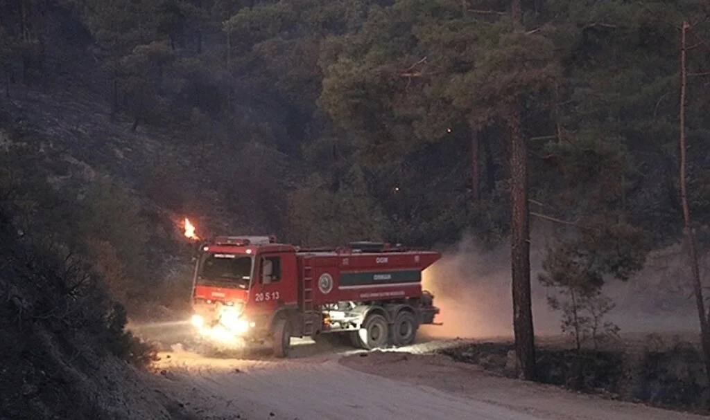 Denizli'de orman yangını çıktı