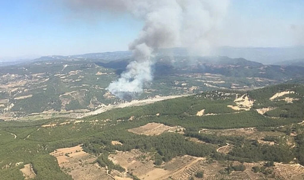 Denizli-Muğla sınırında orman yangını çıktı