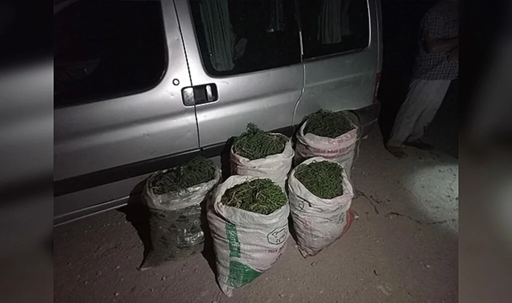 Didim'de 100 kilogram deniz börülcesi ele geçirildi