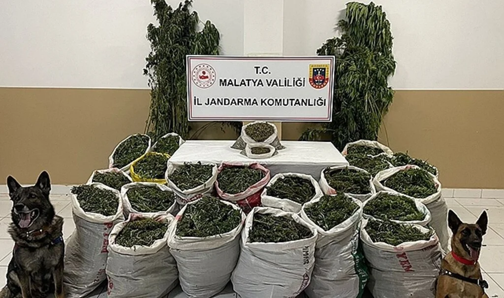 Dron destekli operasyonda 232 kilo esrar ele geçirildi