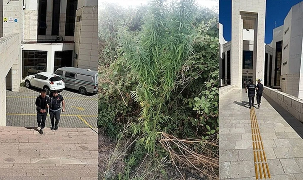 Edremit’te yaklaşık bir kilo esrar ele geçirildi