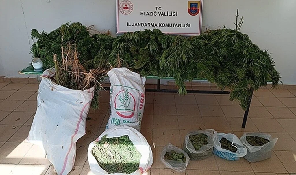 Elazığ’da 20 kilo esrar ele geçirildi: 1 gözaltı