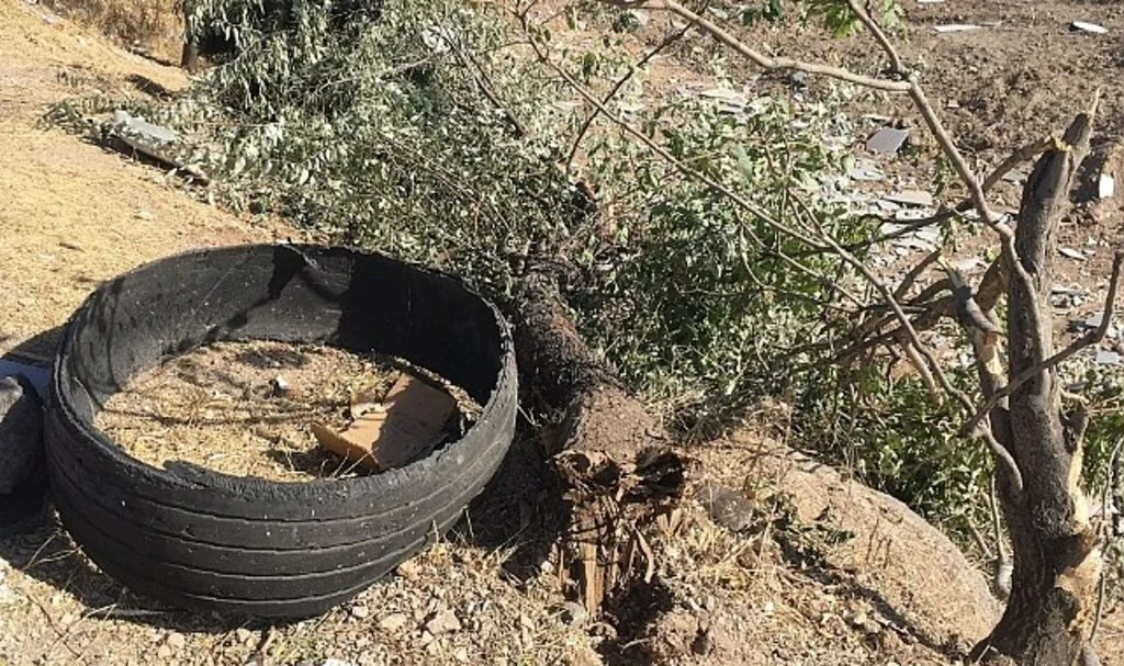 Elazığ'da pikap şarampole yuvarlandı: 5 yaralı