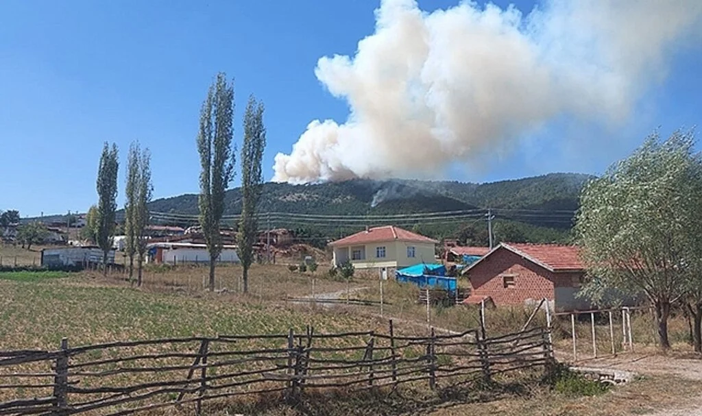 Eskişehir’de orman yangını