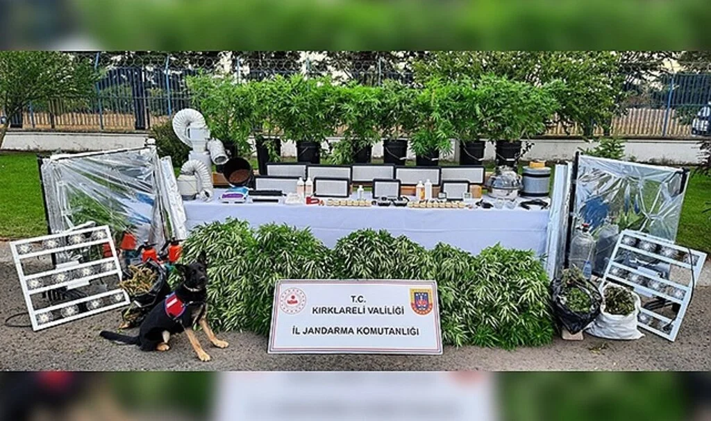 Ev terası değil uyuşturucu serası