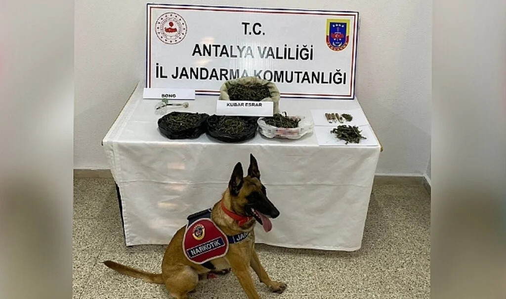 Eve yapılan baskında 1 kilogram kubar esrar ele geçirildi
