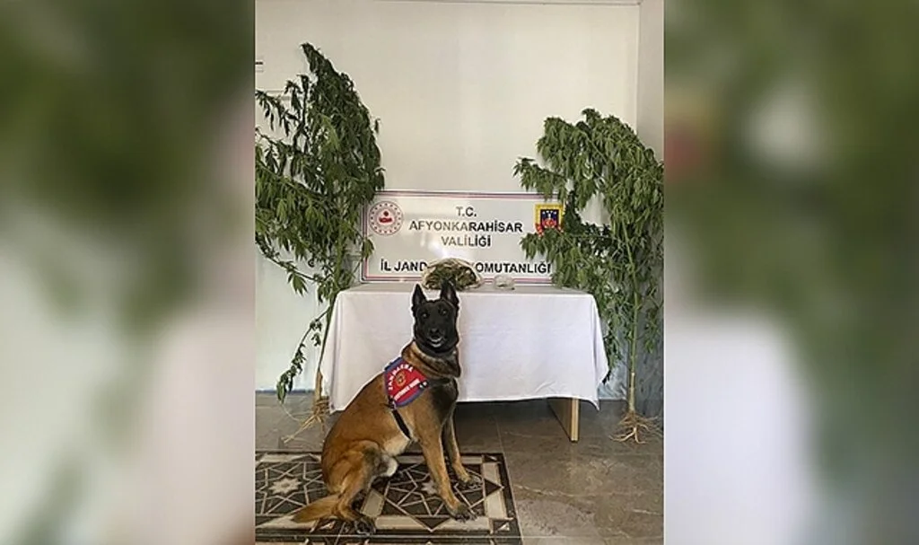 Evinden 415 gram esrar çıkan şahıs gözaltına alındı