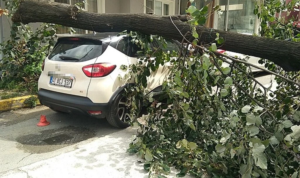 Fırtınanın devirdiği ağaç, park halindeki otomobilin üzerine düştü