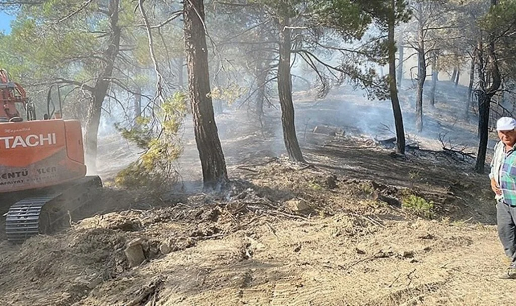 Gediz’de orman yangını; 4 dönümlük ormanlık alan yandı