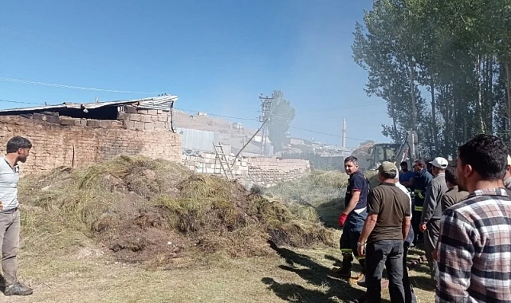 Gürpınar’da 700 bağ ot yandı