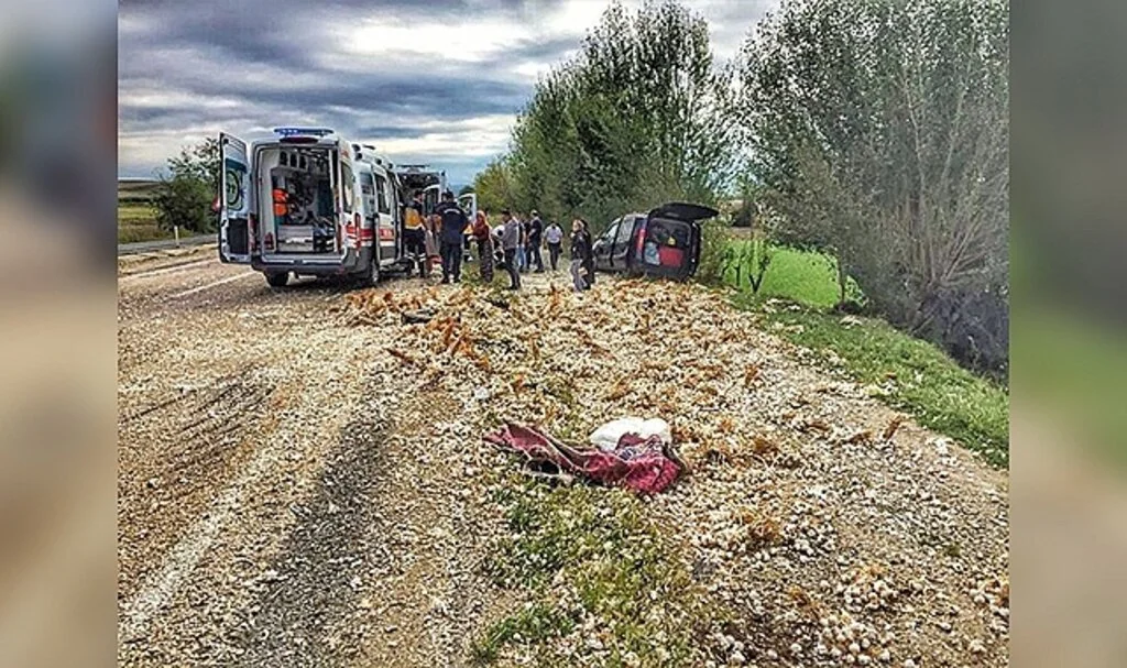 Hafif ticari araç sarımsak yüklü traktöre çarptı: 7 yaralı