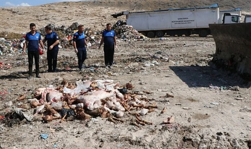 Haliliye' de bozuk 3 ton et imha edildi