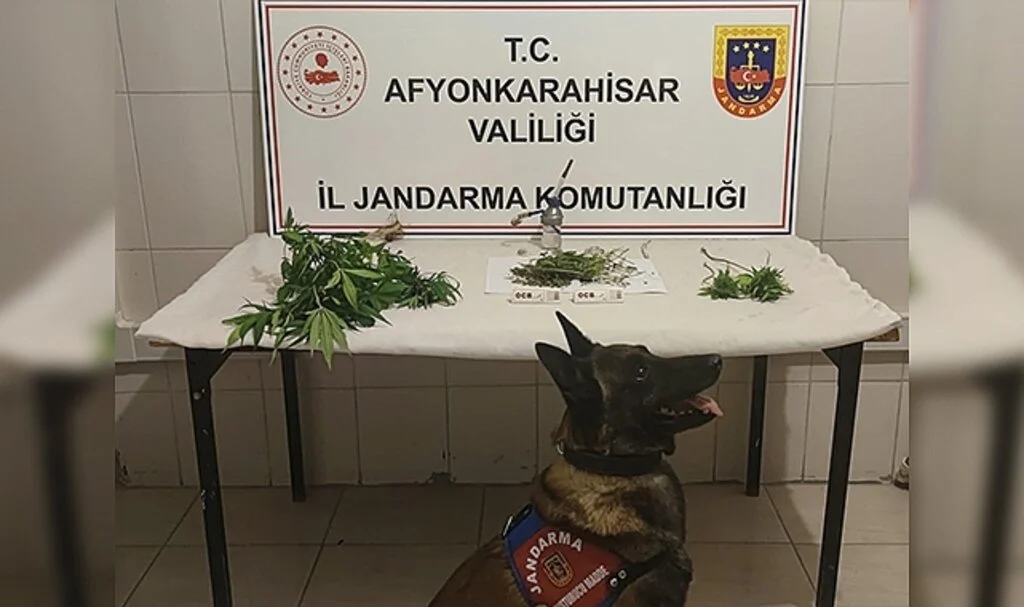 Hasadını yaptıkları esrarın tamamını satamadan yakalandılar