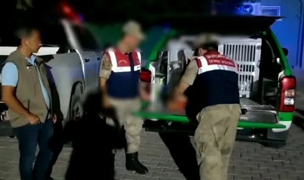 Hatay'da böcek toplayan kişiye 109 bin lira para cezası