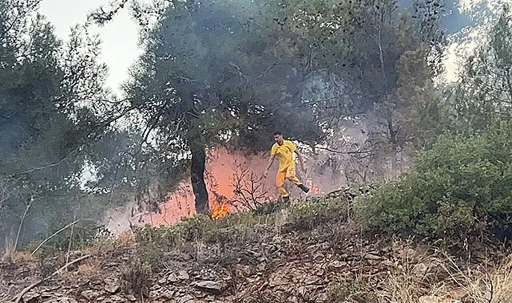 Hatay’da ormanlık alanda çıkan yangın evlere sıçramadan söndürüldü