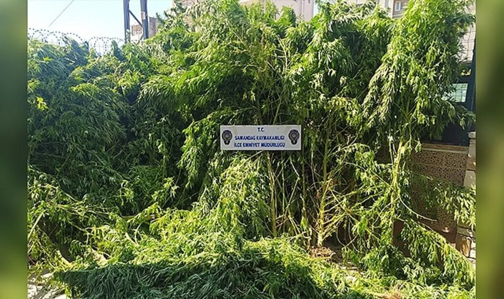 Hatay’da uyuşturucu operasyonları