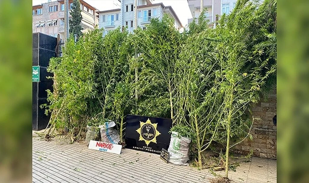Hatay’da uyuşturucu operasyonu