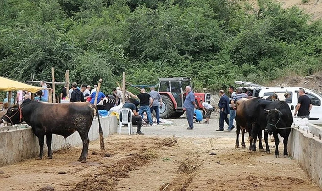 Hayvancılıkta ’Sözleşmeli Besicilik’ dönemi