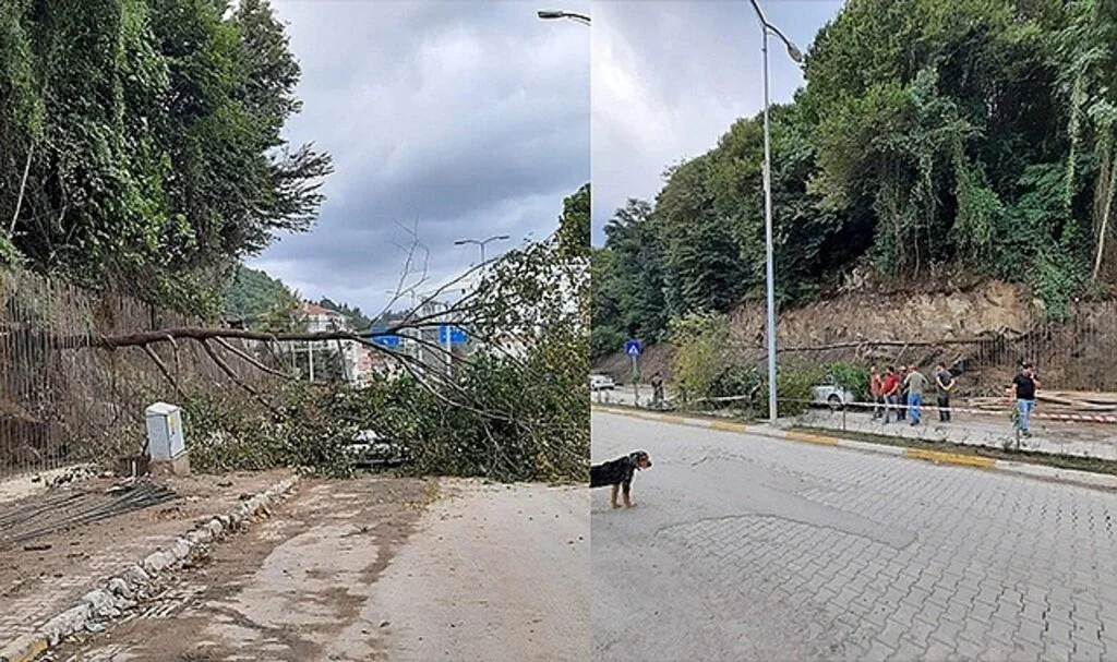 Heyelanda devrilen ağaç park halindeki aracın üzerine düştü