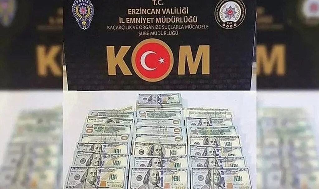 Iğdır'da dolar gasp ettiği öne sürülen şüpheli Erzincan'da yakalandı