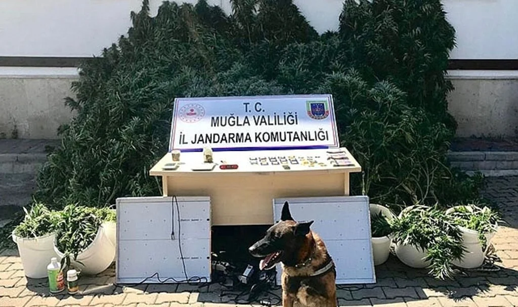 İkametlerinde uyuşturucu madde imal edip satan 2 şüpheli yakalandı