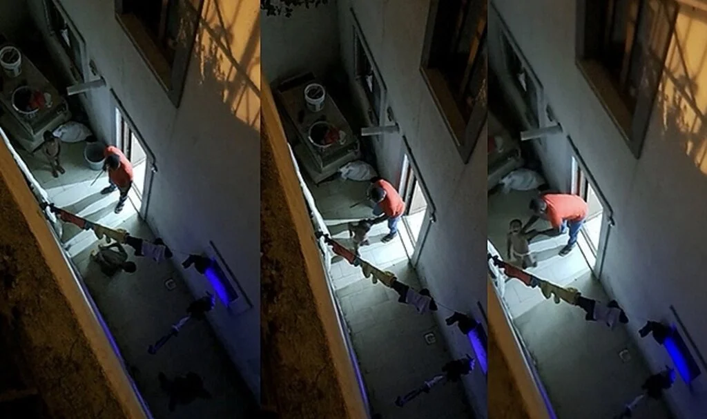 İstanbul’da dehşet anları kamerada: Evi dağıtan çocuklarını sopayla dövdü
