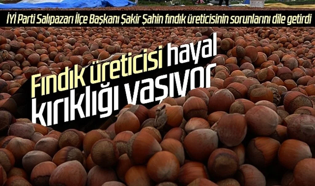 İYİ Parti Salıpazarı İlçe Başkanı Şakir Şahin fındık üreticisinin sorunlarını dile getirdi: Üretici hayal kırıklığı yaşıyor...