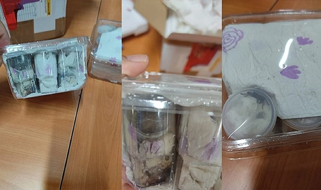 İzmir’de 26 tüp tarantula cinsi örümcek ele geçirildi