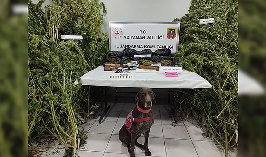 Jandarma Gerger ilçesinde uyuşturucu ele geçirdi