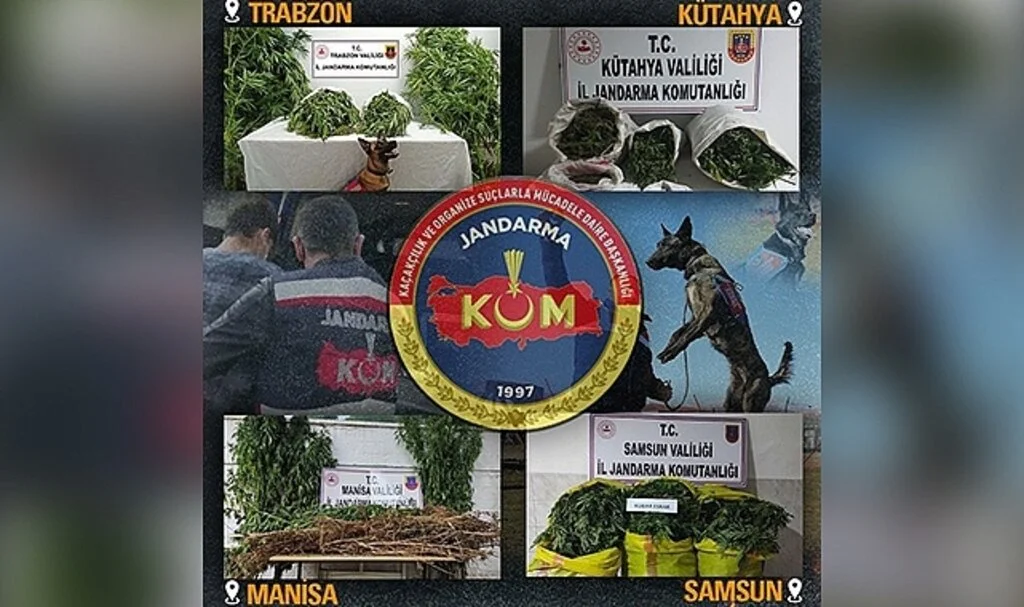 Jandarmadan 4 ilde uyuşturucu operasyonları