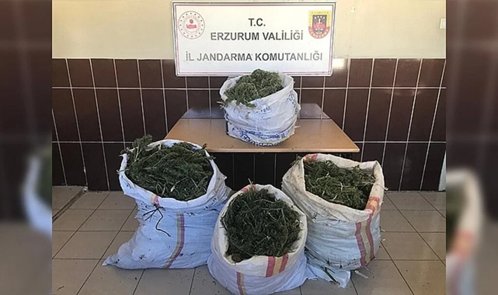 Jandarmadan uyuşturucu operasyonu