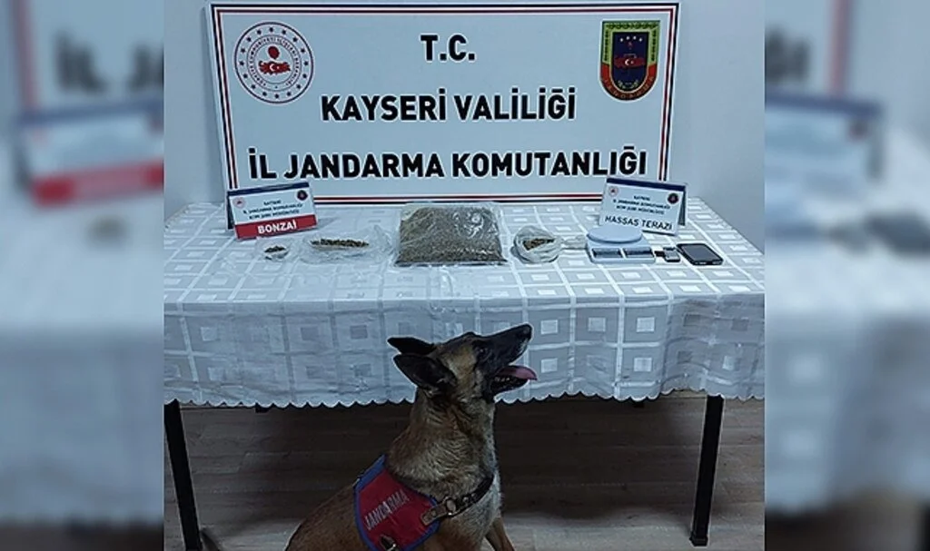 Jandarmadan uyuşturucu operasyonu
