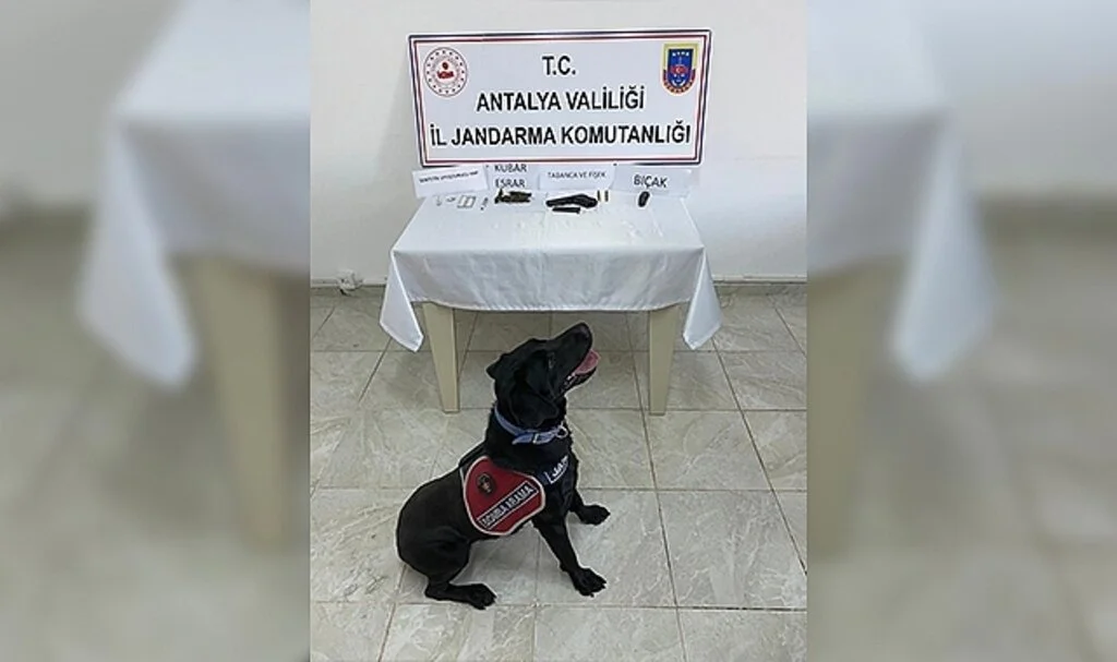 Jandarmanın durdurduğu araçtan, tabanca, bıçak ve uyuşturucu çıktı.