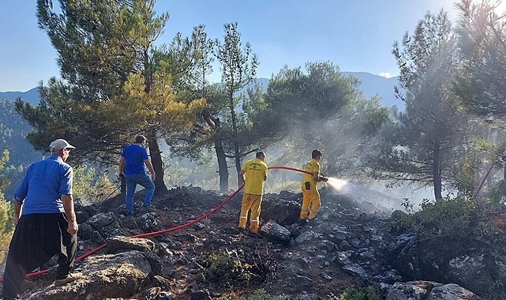 Kahramanmaraş'ta 6 noktada çıkan yangın söndürüldü, ormanları yakan şüpheli yakalandı