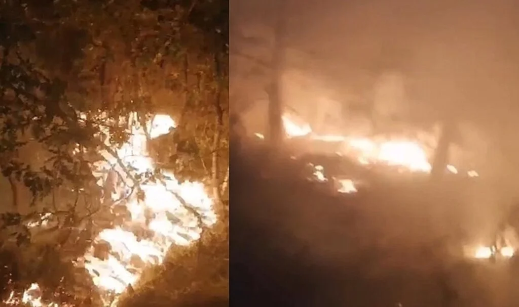 Kastamonu’da orman yangını: Ekiplerin hızlı müdahalesi ile söndürüldü
