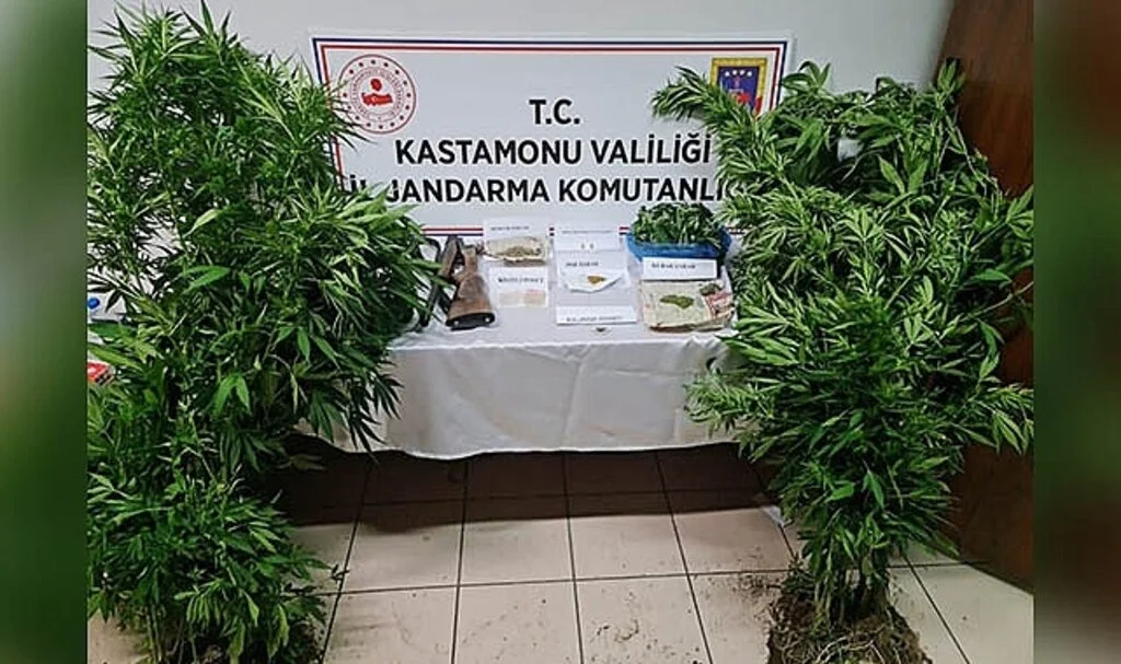 Kastamonu'da uyuşturucu operasyonunda yakalanan kişi tutuklandı