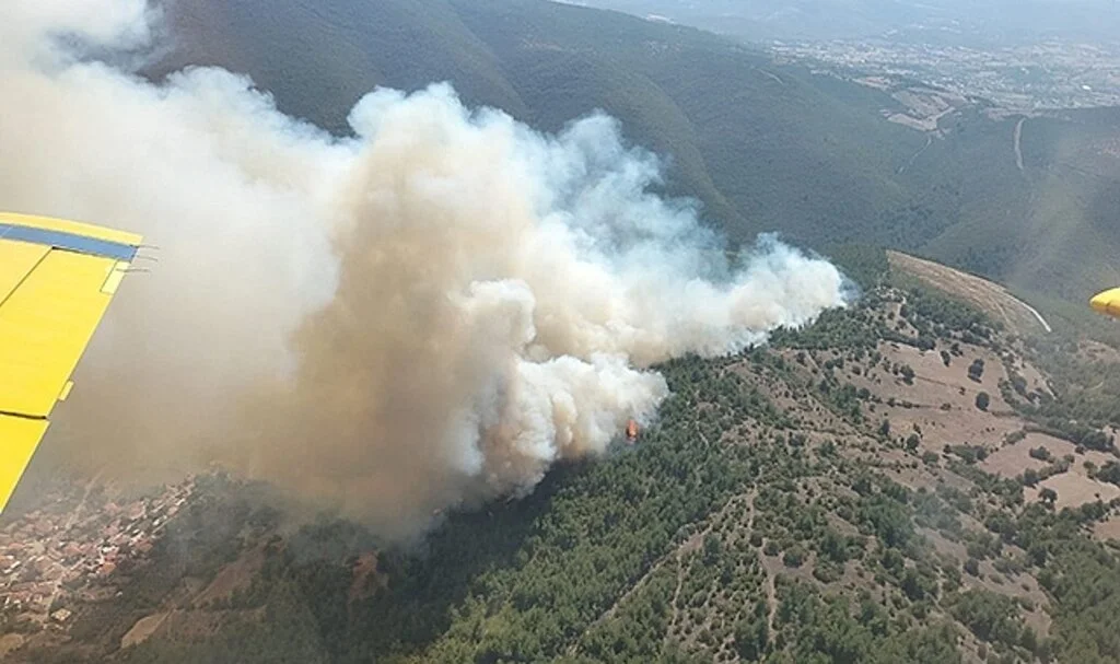 Kepsut'ta orman yangını