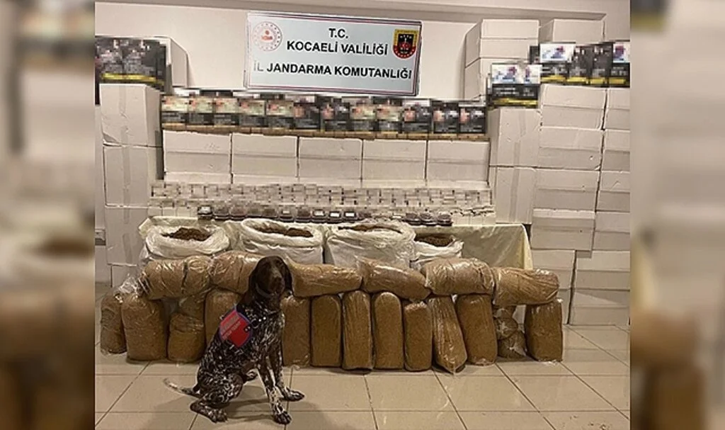 Kocaeli'de 2 milyon 30 bin makaron ele geçirildi