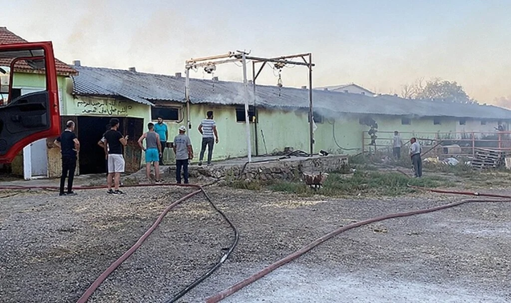 Konya'da büyükbaş ağılında yangın