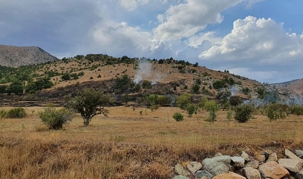 Kopan elektrik teli yangına neden oldu
