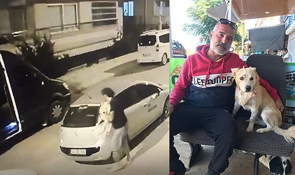 Köpeği önce çaldı, sonra zarar verdi