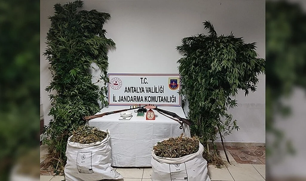 Kumluca’da 10 kilo kubar esrar ve 232 kök Hint keneviri ele geçirildi