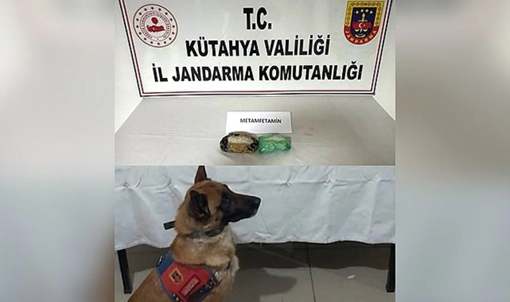 Kütahya’da otomobilde gizlenmiş uyuşturucuyu narkotik köpeği buldu