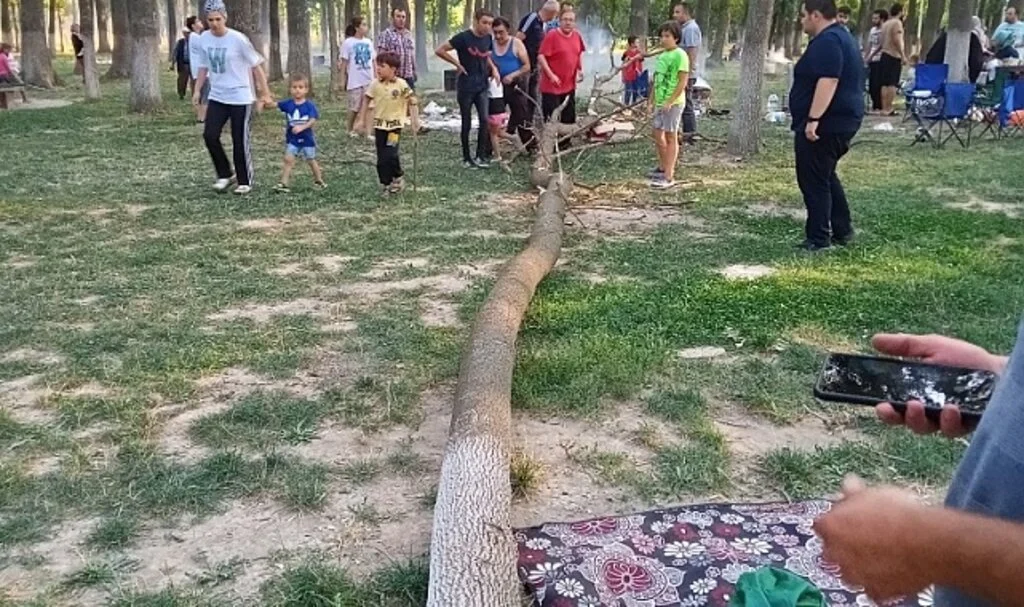 Mangal keyfi az kalsın faciaya dönüyordu