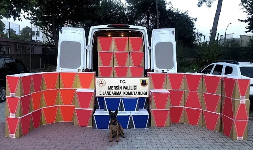 Mersin'de 630 bin adet kaçak makaron ele geçirildi