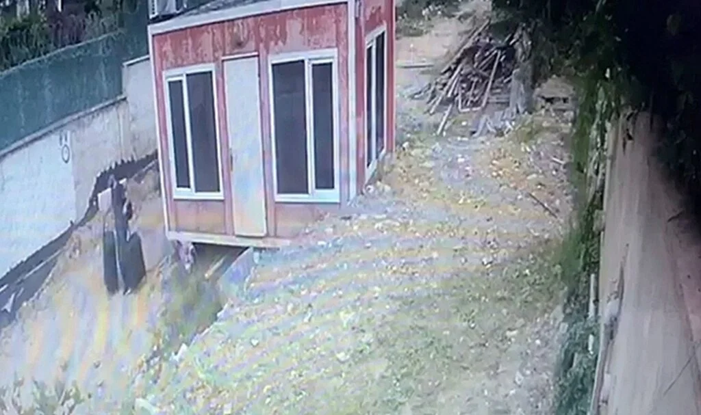 Milyon dolar değerindeki hırsızlık zanlısı yakalandı