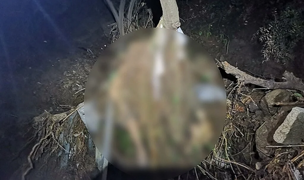 Mudanya'daki sel felaketinden acı haber: 2 gün sonra dere yatağında cesedi bulundu