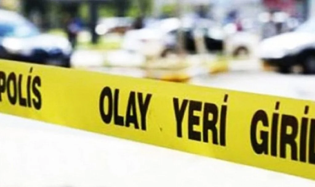 Otomobilin çarptığı yaşlı şahıs hayatını kaybetti